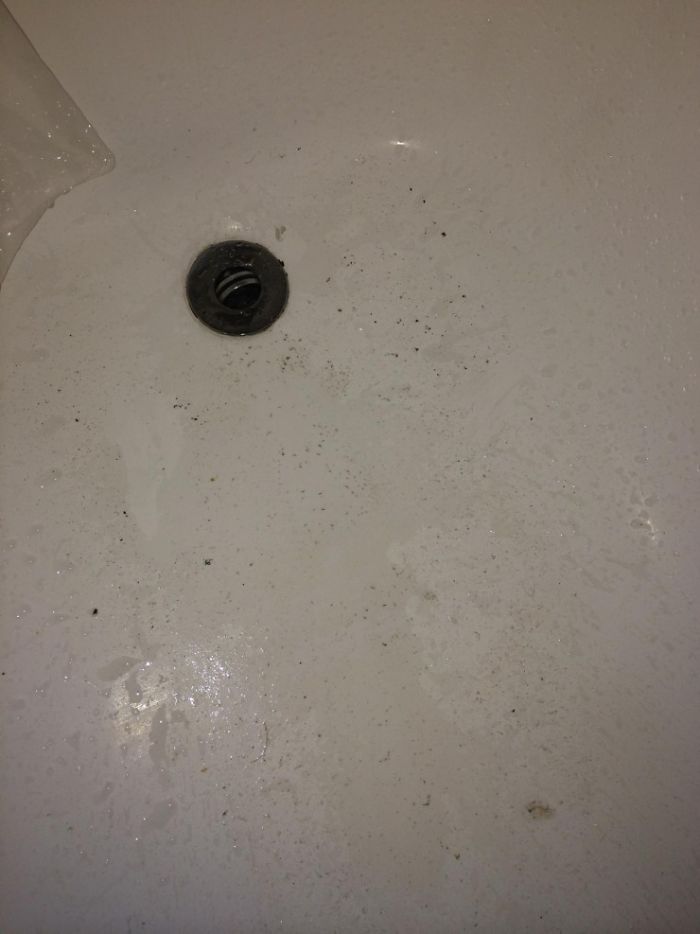 That Came Out Of The Shower