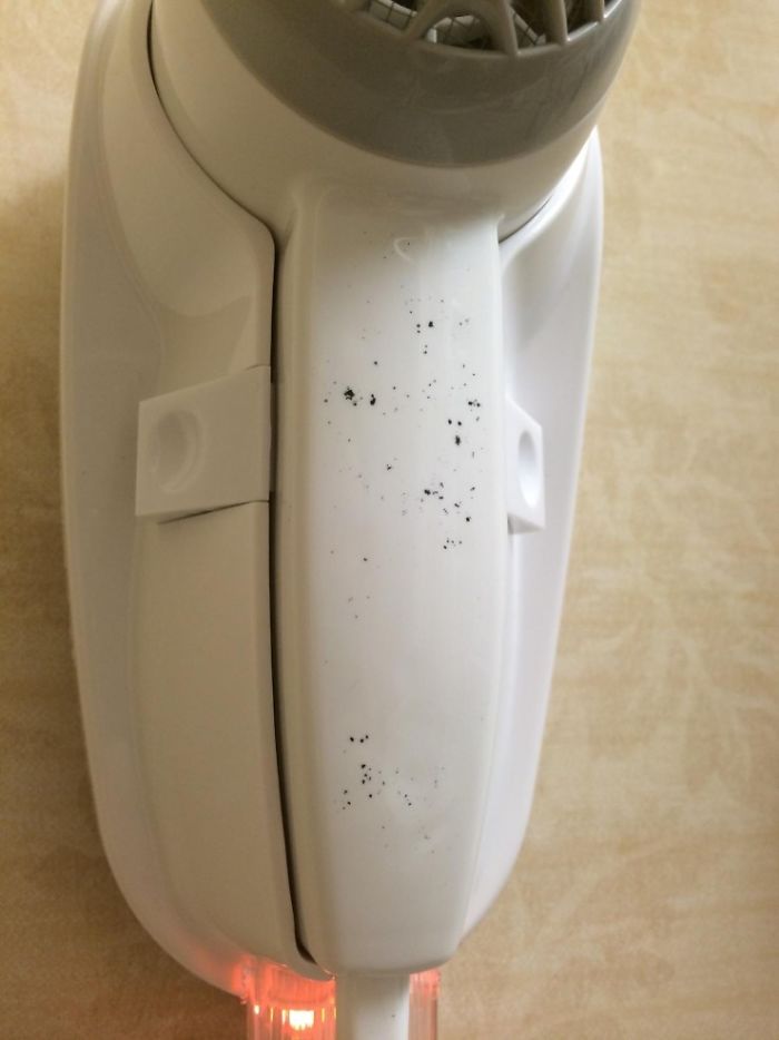 Moldy Hair Dryers