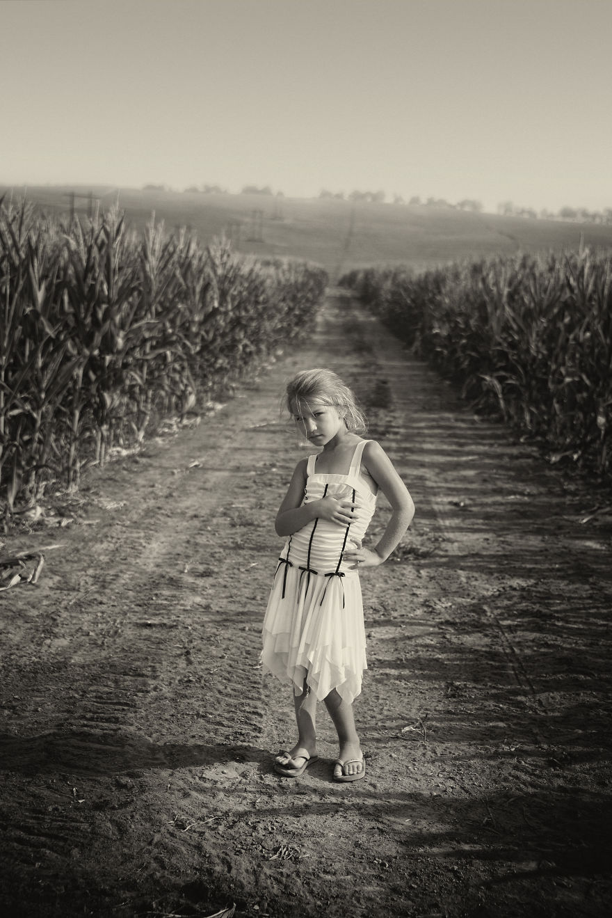 Parker Road Corn Field