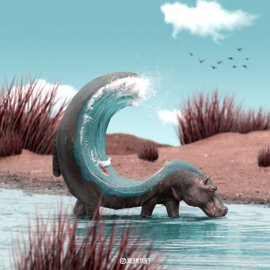 I Spent 2 Years Redesigning The Animal Kindgom (27 Pics)