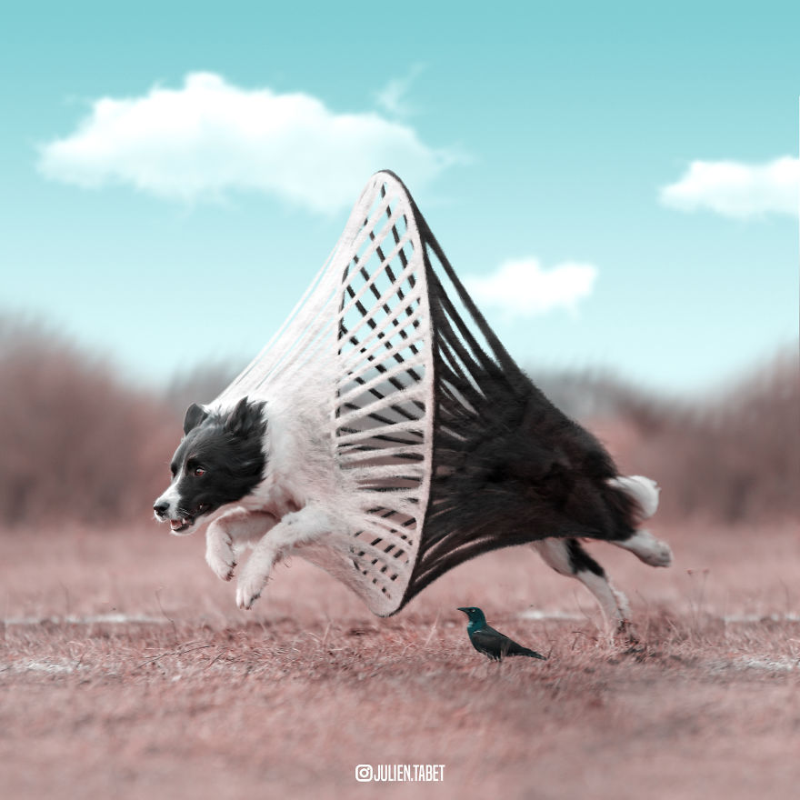 I Spent 2 Years Redesigning The Animal Kindgom (27 Pics)