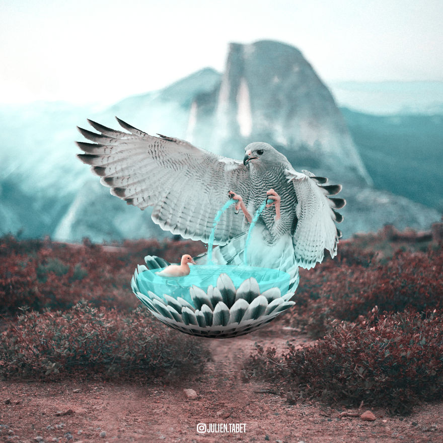 I Spent 2 Years Redesigning The Animal Kindgom (27 Pics)