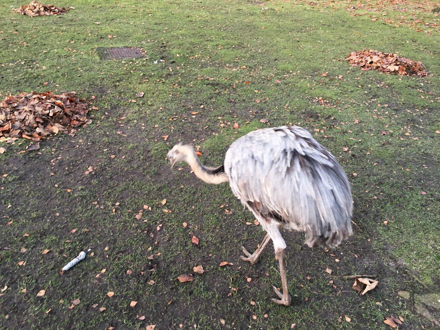 I Want To Prove With Nature Photo’s That Holland Isn’t The Whole Netherlands I Want To Prove With Nature Photo’s That Holland Isn’t The Whole Netherlands