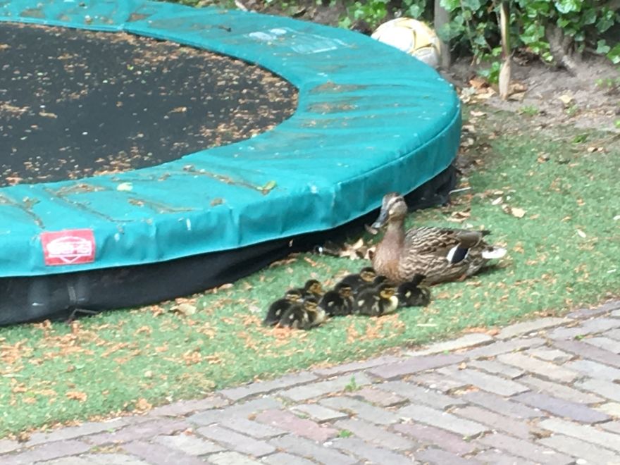 I Want To Prove With Nature Photo&rsquo;s That Holland Isn&rsquo;t The Whole Netherlands