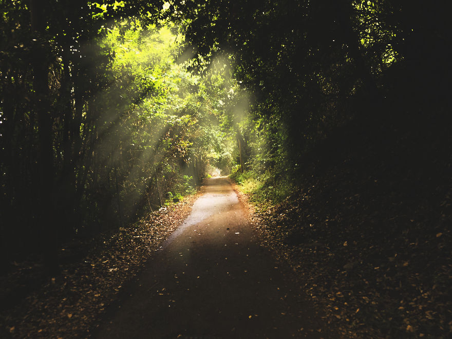 Took Amazing Photos Using Only An iPhone 6