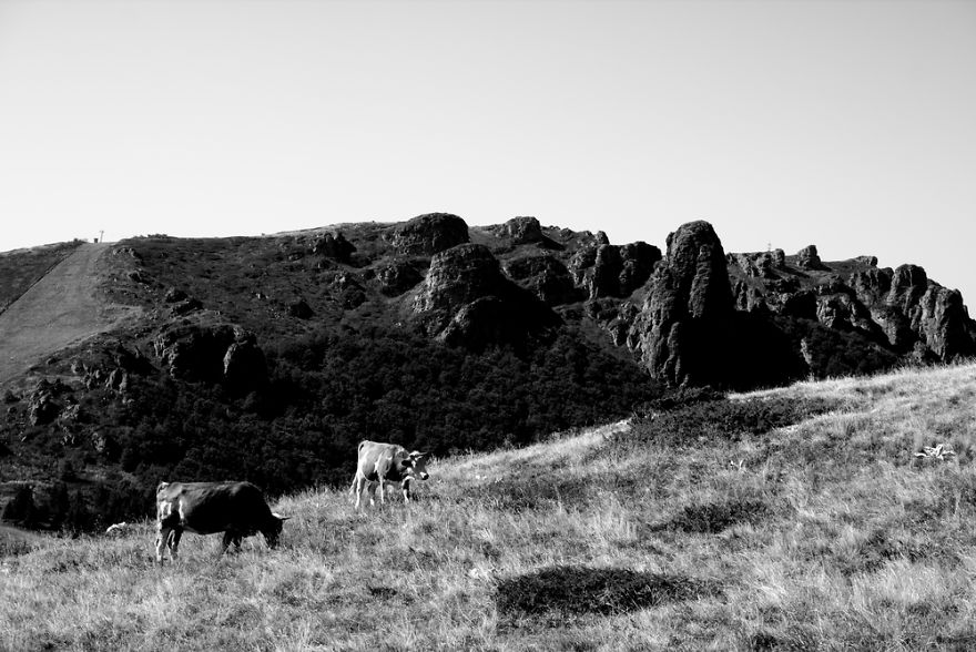 40 Street Photos From Serbia