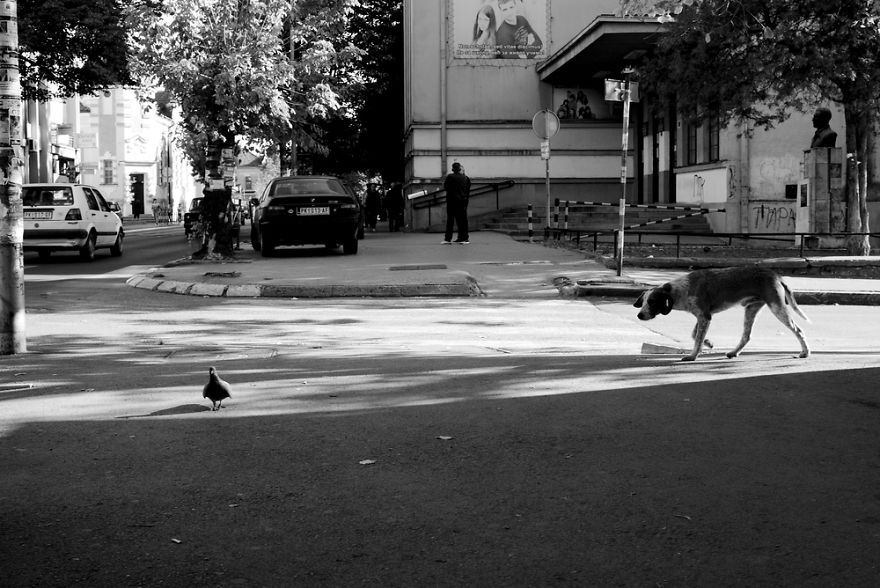 40 Street Photos From Serbia