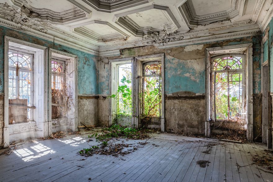 Nature Takes Back (Portugal)