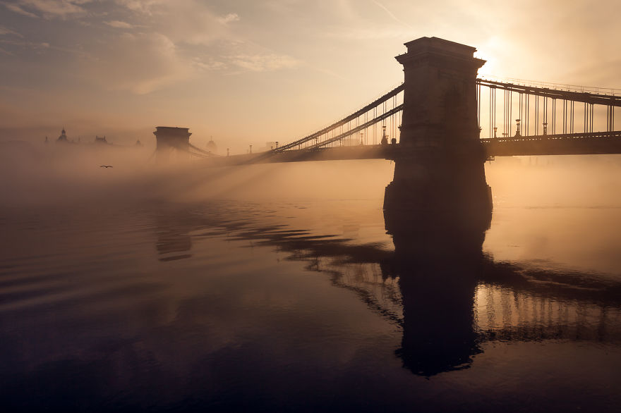 Pillars In The Mist, 2011