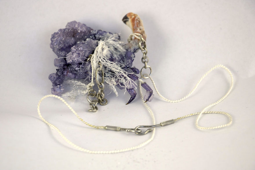 I Turn Creepy Crabs Into Jewels I Turn Creepy Crabs Into Jewels