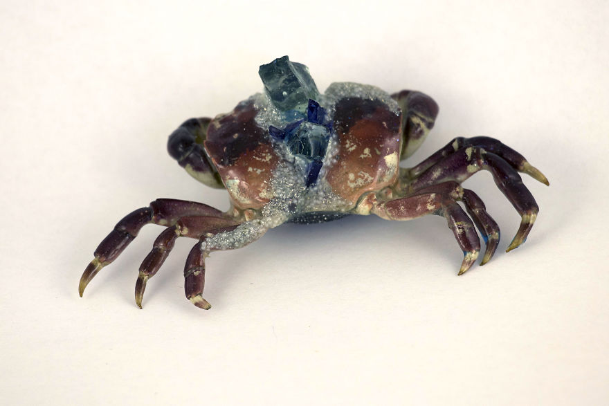 I Turn Creepy Crabs Into Jewels I Turn Creepy Crabs Into Jewels