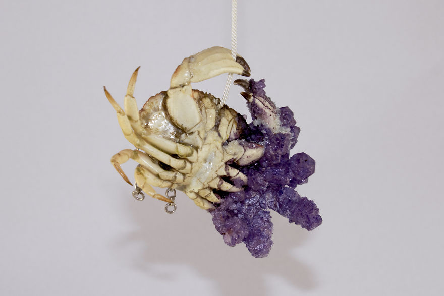 I Turn Creepy Crabs Into Jewels I Turn Creepy Crabs Into Jewels