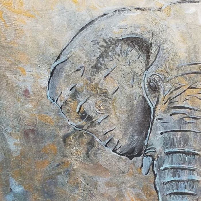 Faces Of The Endangered, My Story