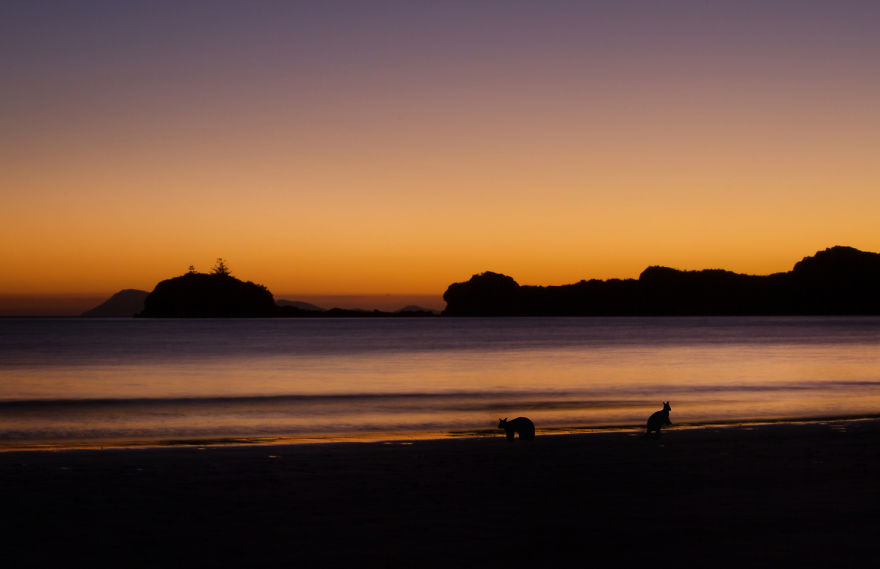 Cape Hillsborough, Queensland