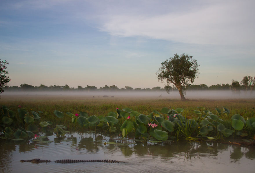 Kakadu, Northern Territory