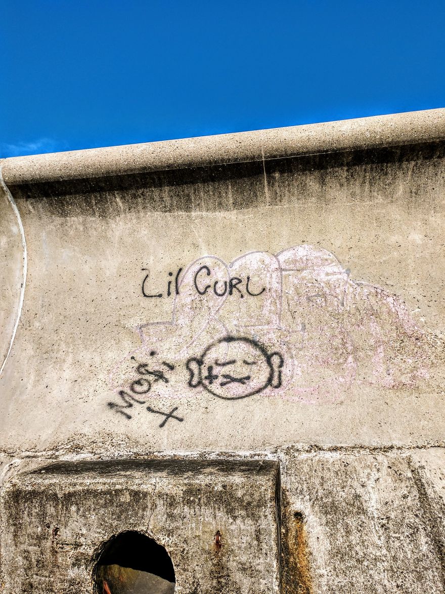 Dogs Document Lame Graffiti And Trash Found On Beach In The Summer