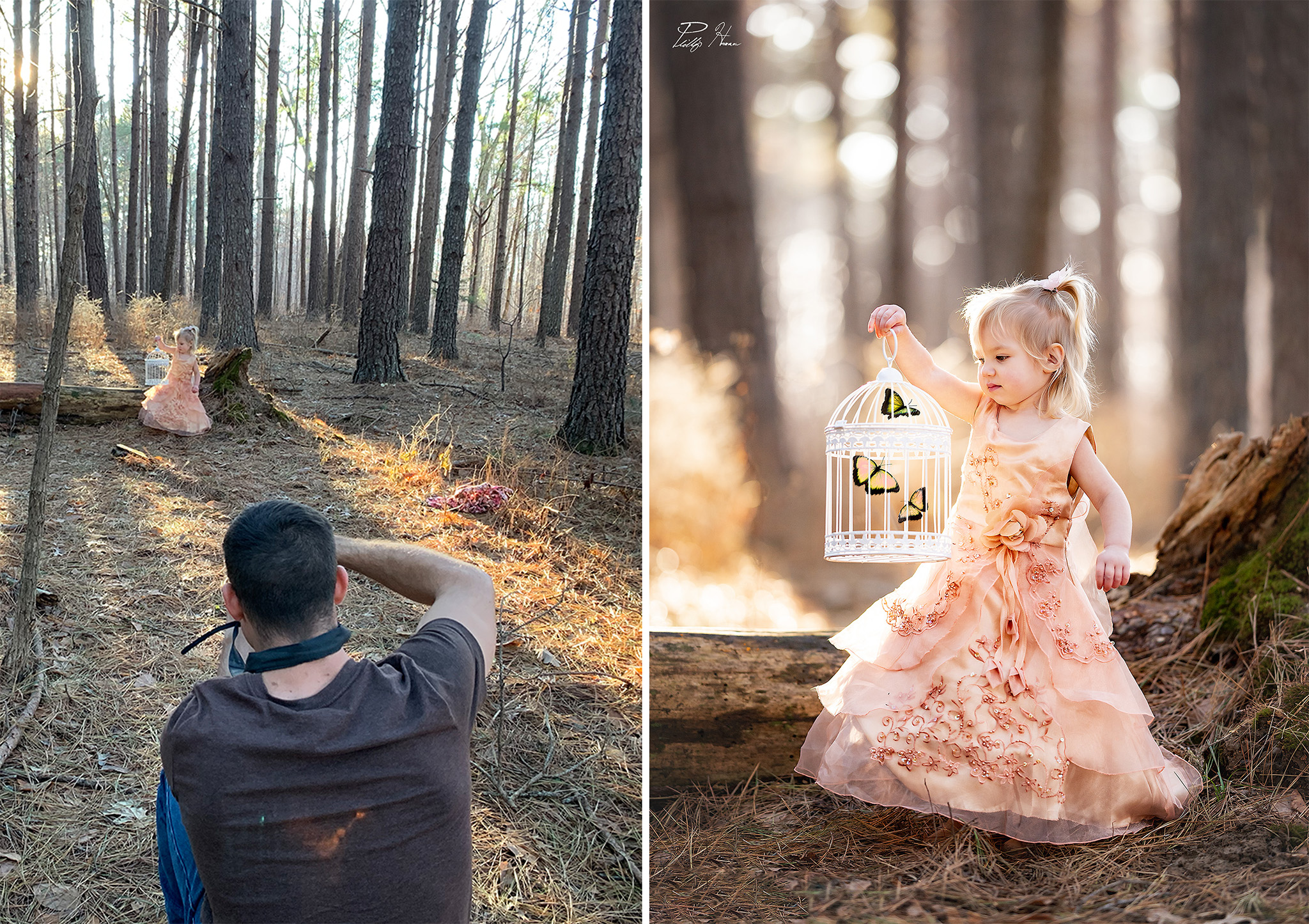 I Did A Fairytale Themed Photoshoot For My Daughter’s 2nd Birthday And The Results Will Melt Your Heart