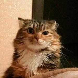 teaganjay2000 avatar