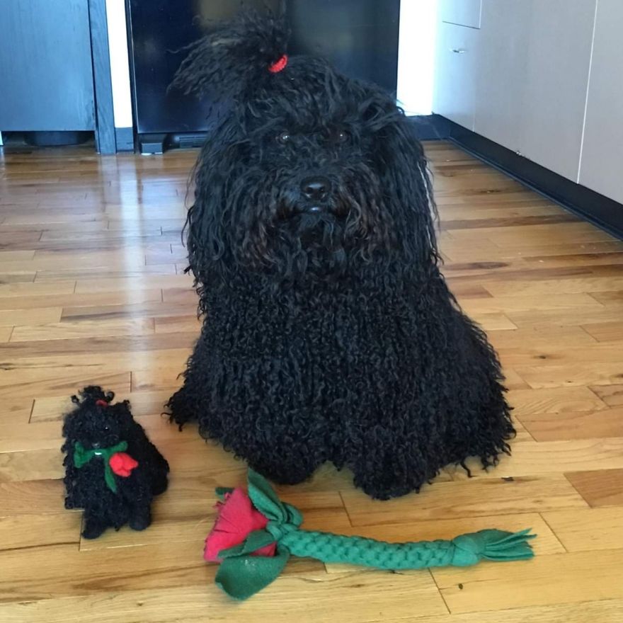 Self Taught, U.k Artist Brings Your Pets Back To Life! Self Taught, U.k Artist Brings Your Pets Back To Life!