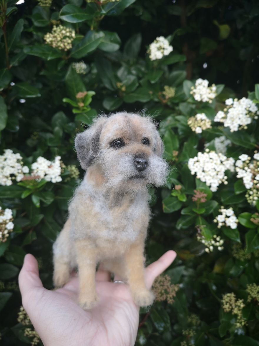 Self Taught, U.k Artist Brings Your Pets Back To Life! Self Taught, U.k Artist Brings Your Pets Back To Life!