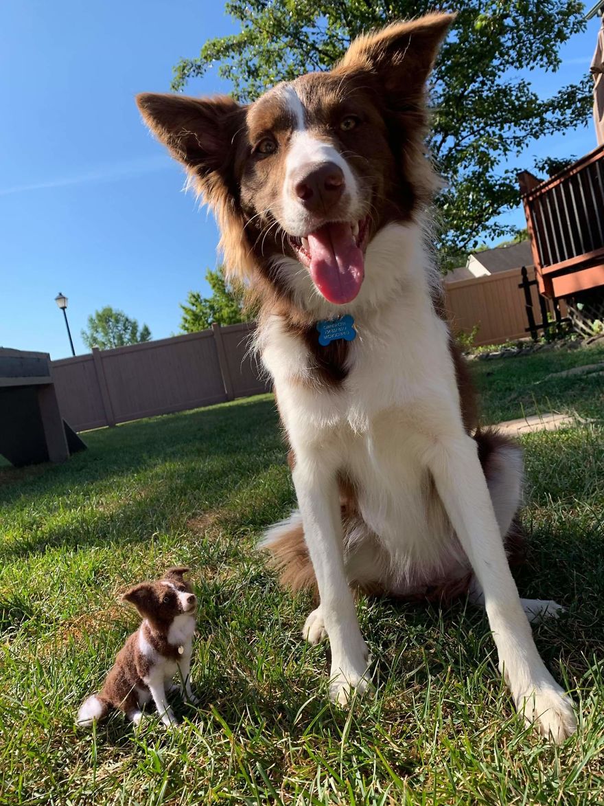 Self Taught, U.k Artist Brings Your Pets Back To Life! Self Taught, U.k Artist Brings Your Pets Back To Life!