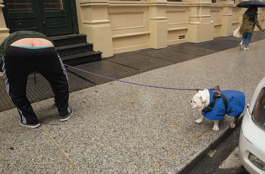 This Photographer Recorded The Daily Life Of Dogs For 40 Years