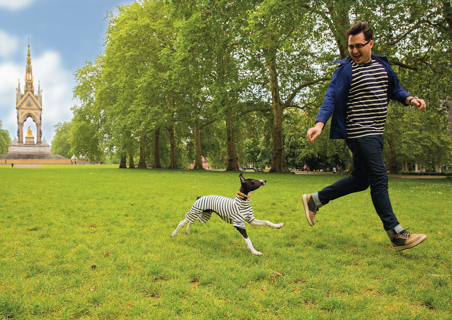 This Photographer Recorded The Daily Life Of Dogs For 40 Years