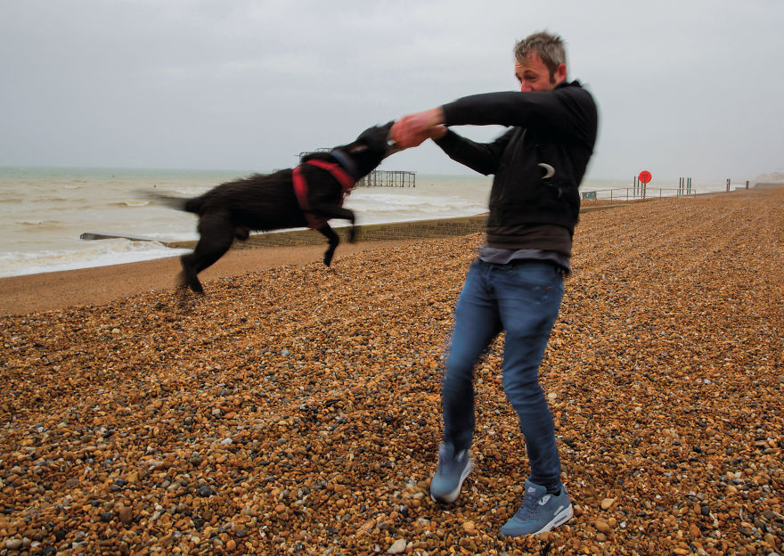 This Photographer Recorded The Daily Life Of Dogs For 40 Years
