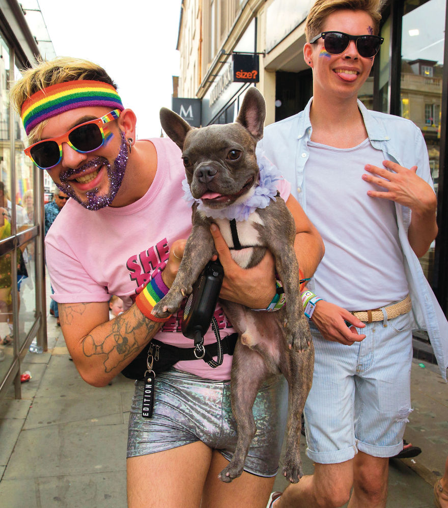 This Photographer Recorded The Daily Life Of Dogs For 40 Years