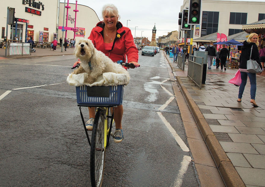 This Photographer Recorded The Daily Life Of Dogs For 40 Years