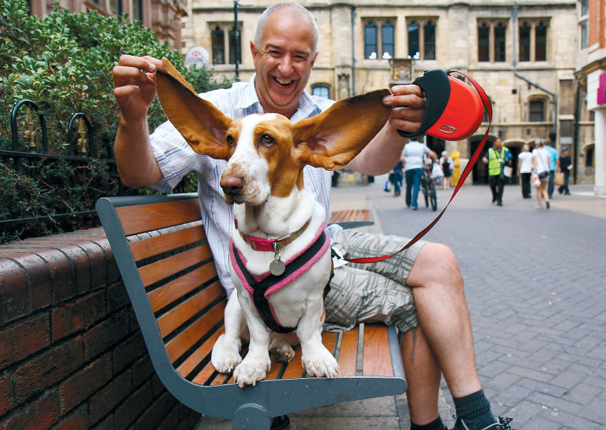 This Photographer Recorded The Daily Life Of Dogs For 40 Years
