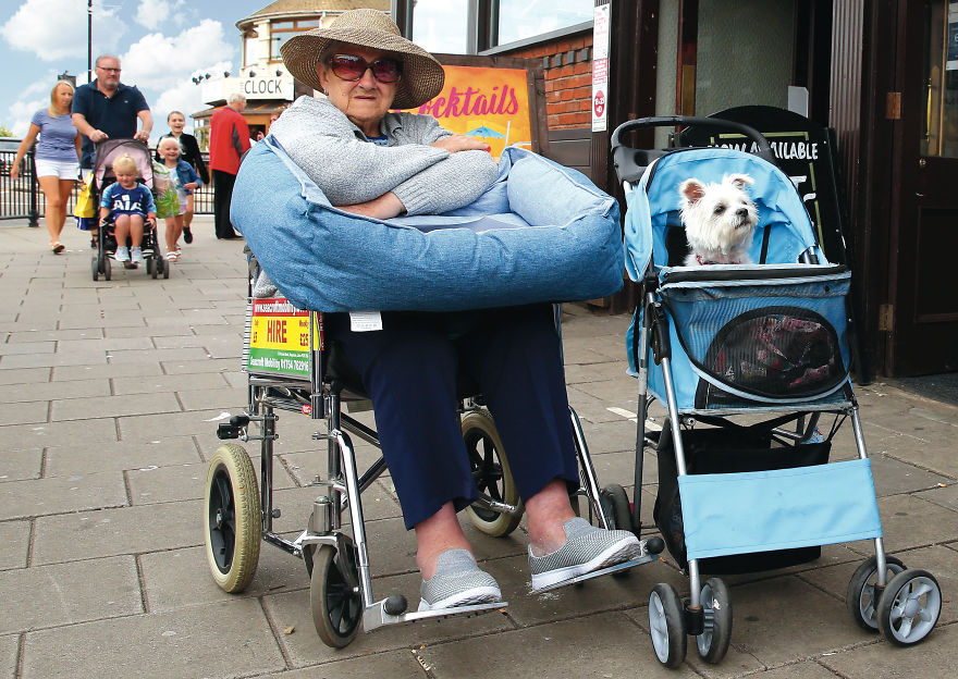 This Photographer Recorded The Daily Life Of Dogs For 40 Years