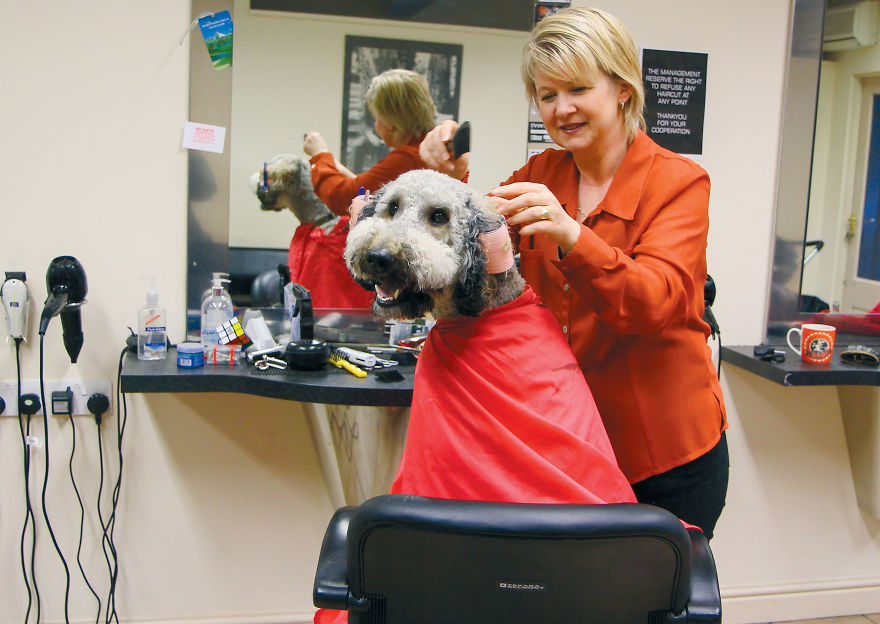 This Photographer Recorded The Daily Life Of Dogs For 40 Years