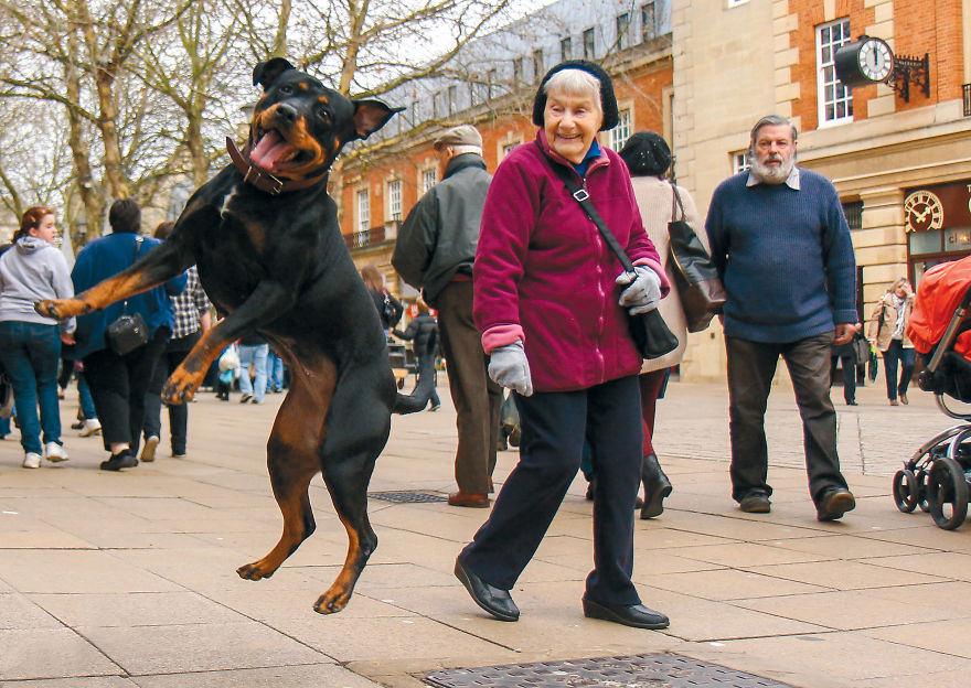 This Photographer Recorded The Daily Life Of Dogs For 40 Years