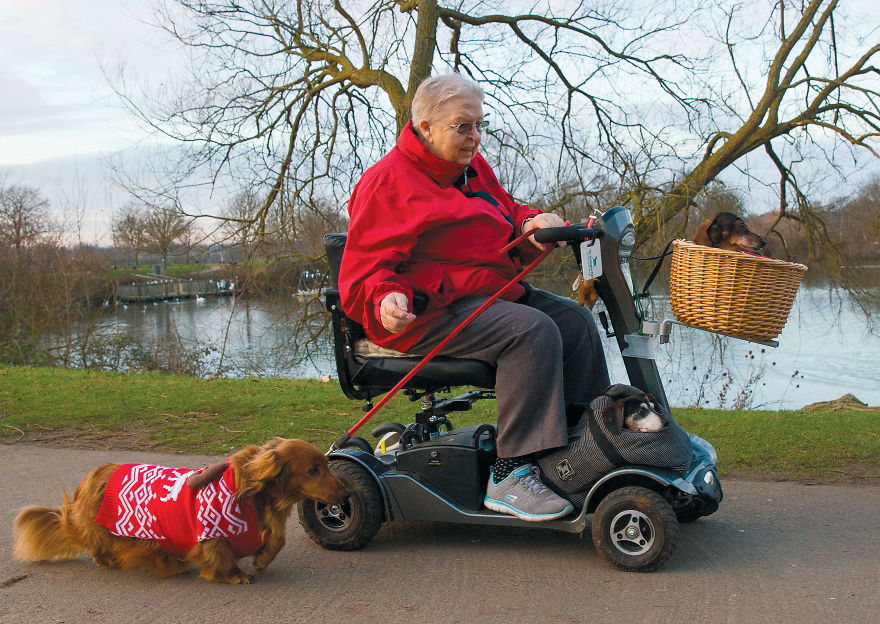 This Photographer Recorded The Daily Life Of Dogs For 40 Years