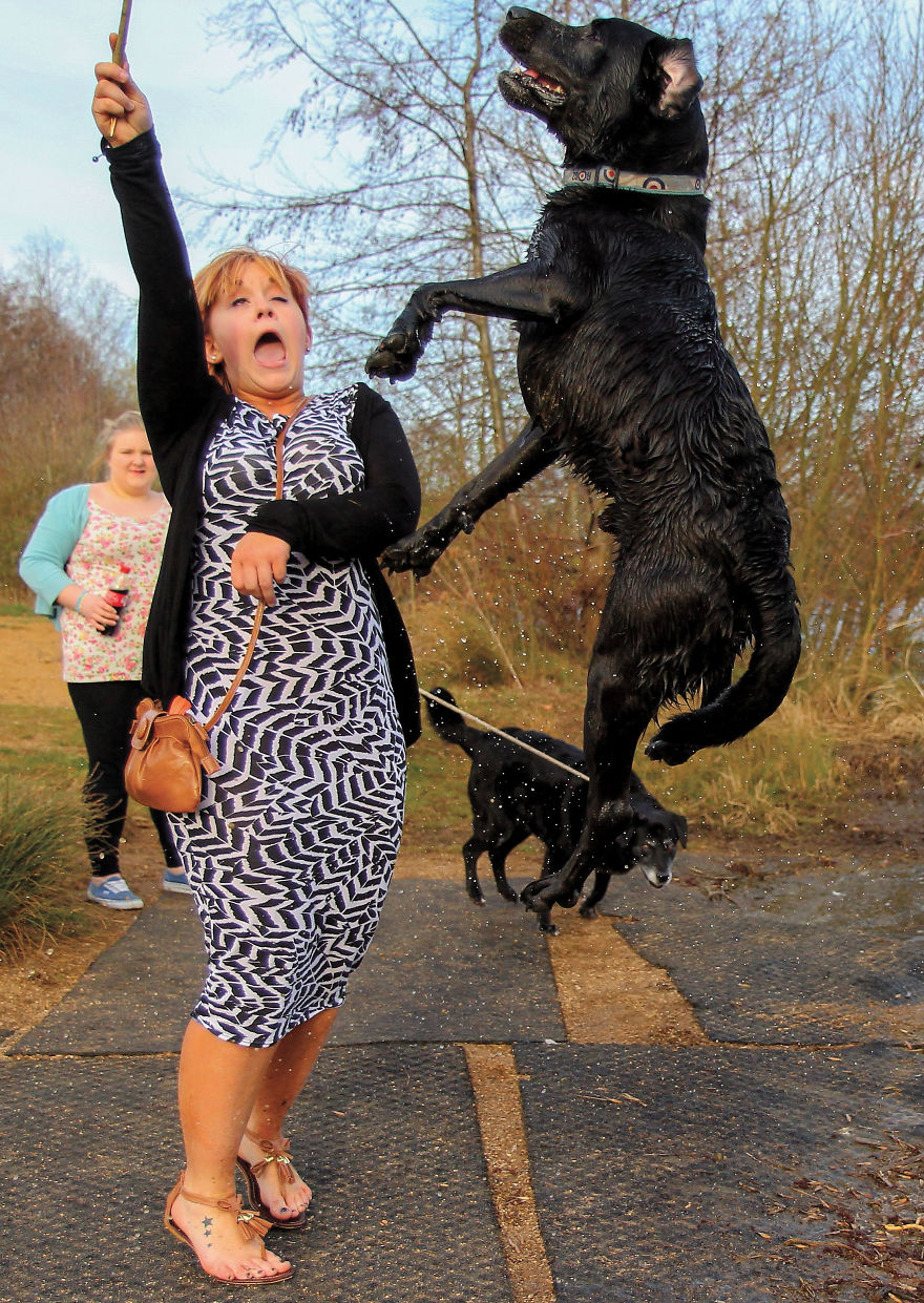 This Photographer Recorded The Daily Life Of Dogs For 40 Years