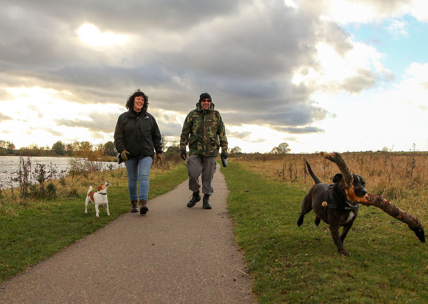 This Photographer Recorded The Daily Life Of Dogs For 40 Years