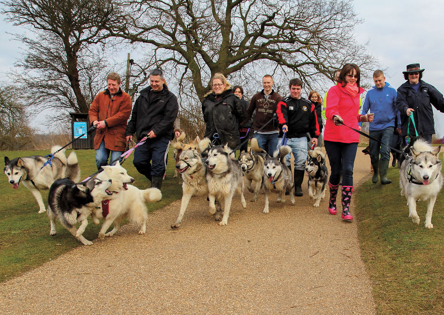 This Photographer Recorded The Daily Life Of Dogs For 40 Years