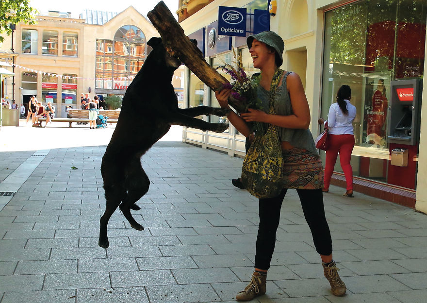 This Photographer Recorded The Daily Life Of Dogs For 40 Years