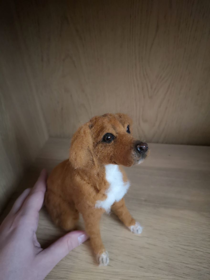 Working Progress Of A Spaniel Mix.