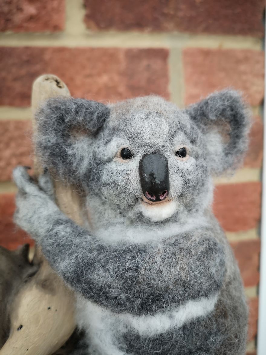 My Koala Piece Mounted On Beautiful Drift Wood Tree.