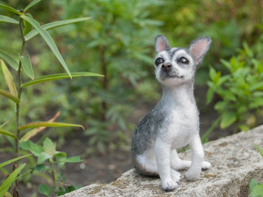 Unreal Living Portraits That Keep The Souls Of Pets!