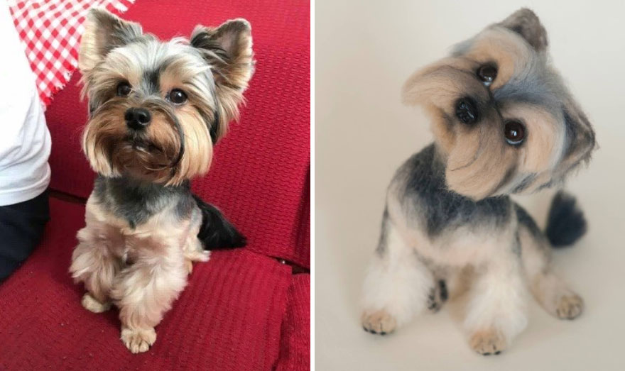 Unreal Living Portraits That Keep The Souls Of Pets!