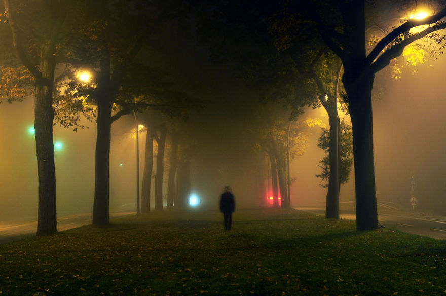 Unter Den Bäumen (Under The Trees)