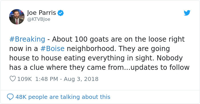 100 "Goats For Rent" Terrorize A Peaceful Neighborhood