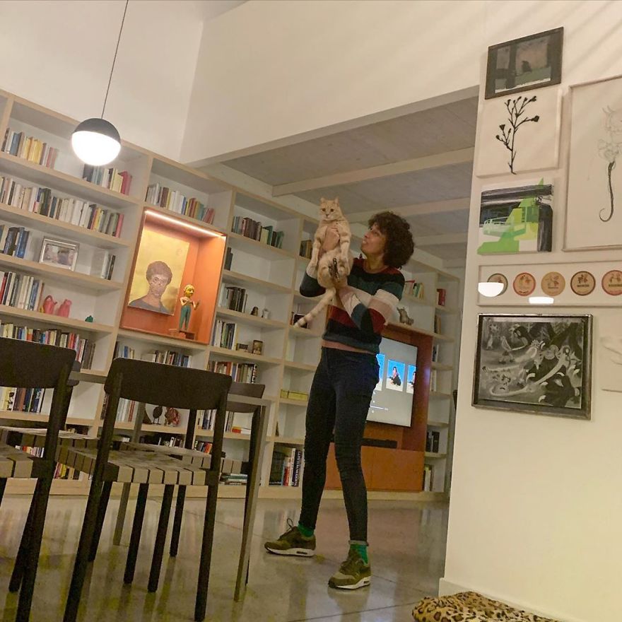 Bionic-Cat-Prosthetic-Legs-Vito