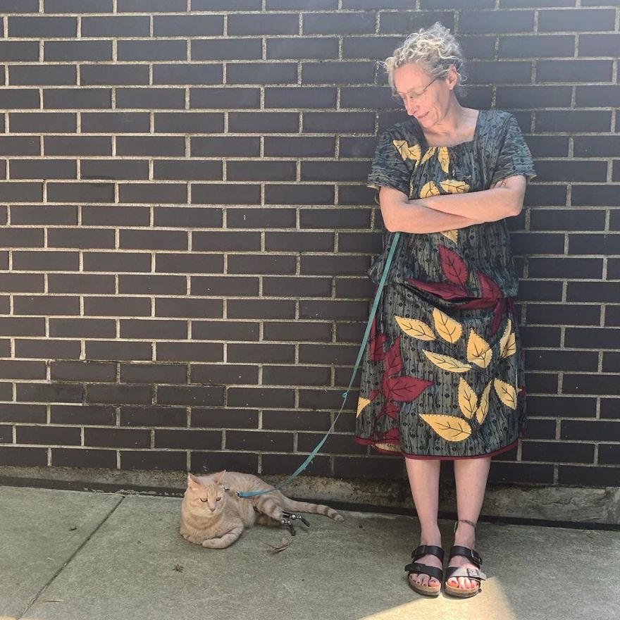 Bionic-Cat-Prosthetic-Legs-Vito