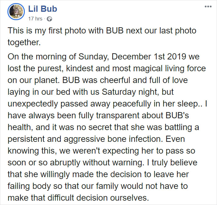 The Owner Of An Internet-Famous Cat Lil Bub Shares A Heartwarming Message To Announce Her Death