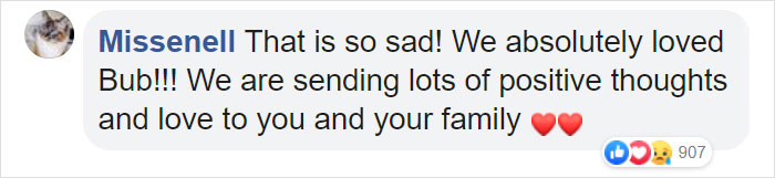 The Owner Of An Internet-Famous Cat Lil Bub Shares A Heartwarming Message To Announce Her Death