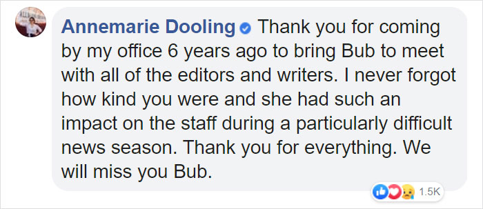 The Owner Of An Internet-Famous Cat Lil Bub Shares A Heartwarming Message To Announce Her Death The Owner Of An Internet-Famous Cat Lil Bub Shares A Heartwarming Message To Announce Her Death
